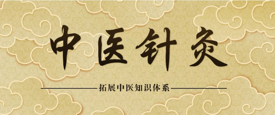 一技绝尘！学中医技术靠谱机构热门十大2026排名Top10更新.jpg