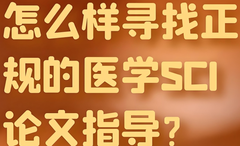 论文辅导 论文辅导