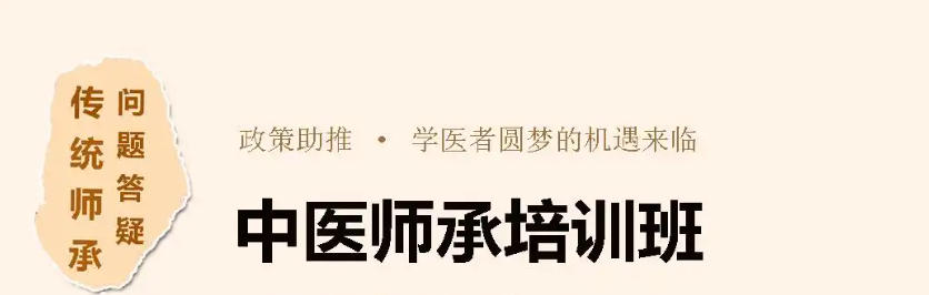 中医师承培训学校