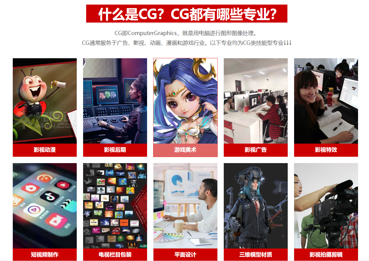 CG数字教育
