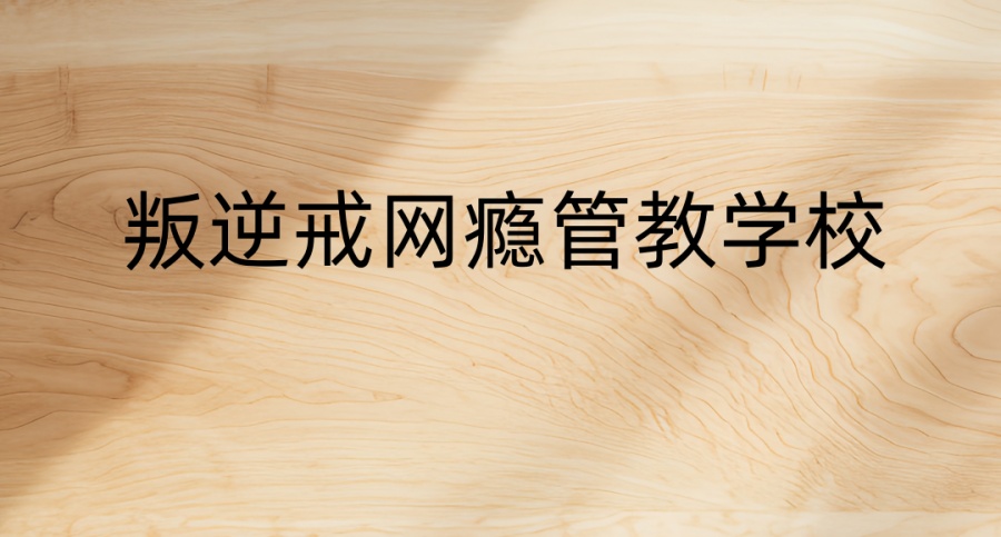 河北全封闭特训戒网瘾学校