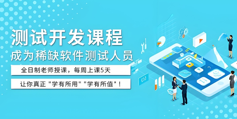 软件测试 软件测试