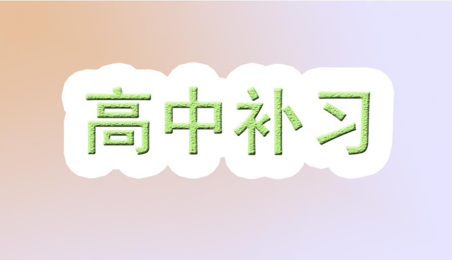 高中文化课辅导机构
