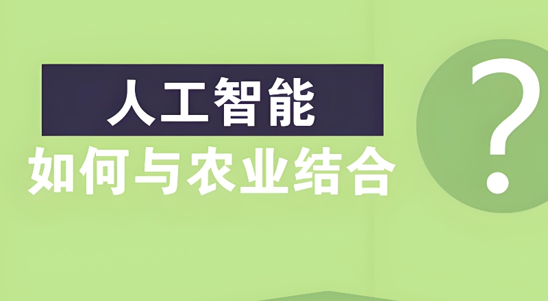 人工智能培训