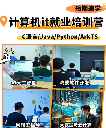IT培训机构，IT技能学习，前端开发培训，数据分析师培训