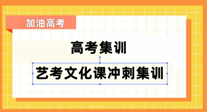 天津5大高三艺考文化课冲刺集训班有哪些