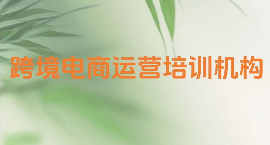 2026年多平台跨境电商实战运营培训班招生正式开始！