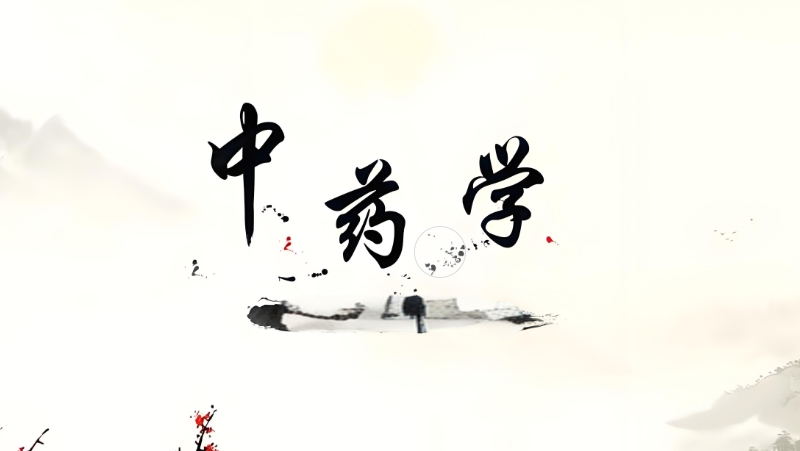 中医培训