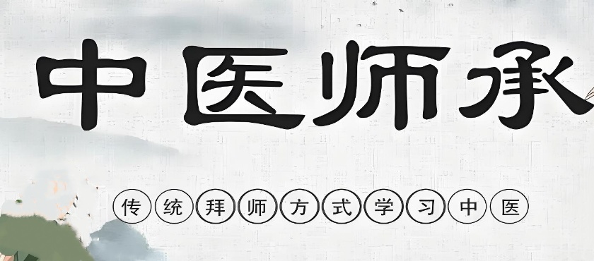 中医师承培训机构哪家好