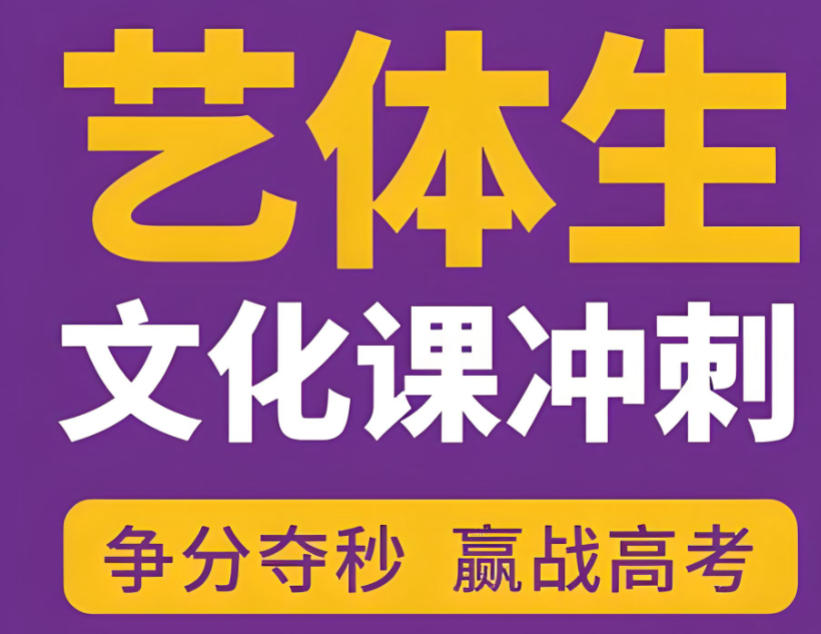 天津五大艺考文化课补习班