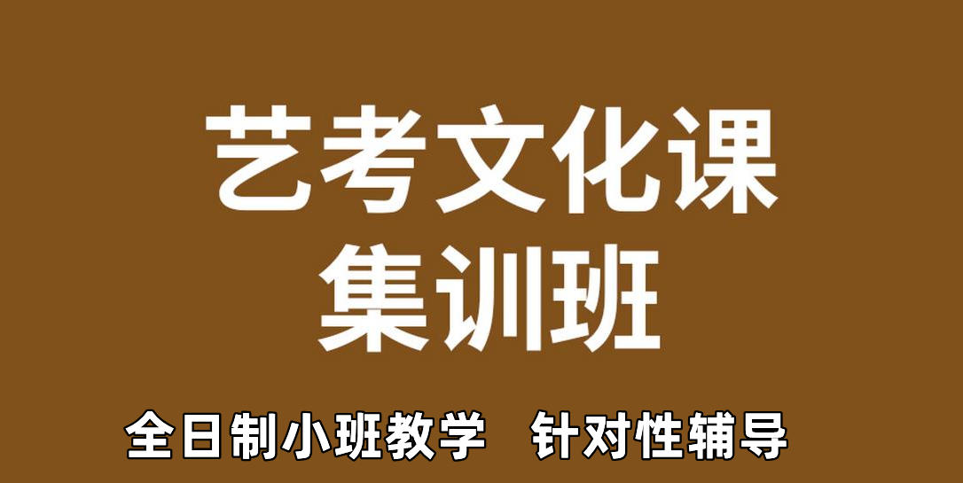 武汉艺考文化课冲刺集训班