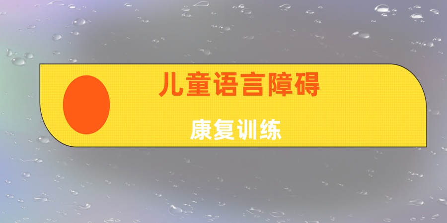 语言障碍康复训练机构