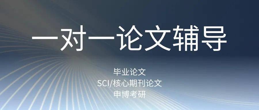北京前十本/硕/博毕业论文1V1辅导机构排名