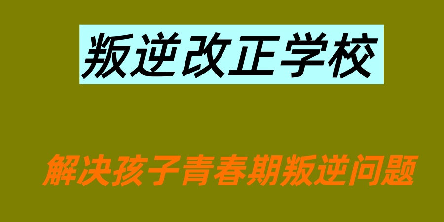 叛逆特训管理学校 叛逆特训管理学校