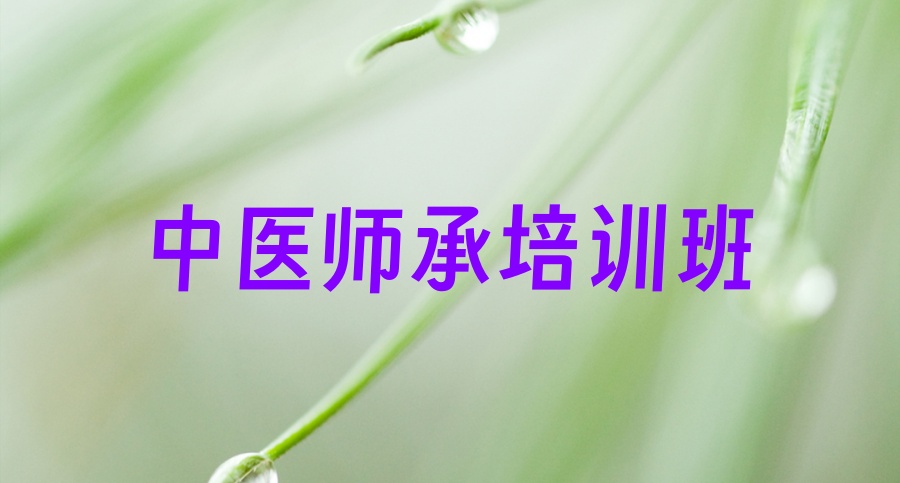 口碑排名TOP10→中医师承培训班哪家好-十大推荐学校测评