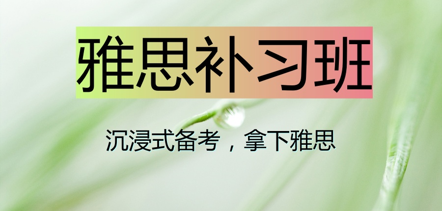 雅思补习班沉浸式备考，拿下雅思
