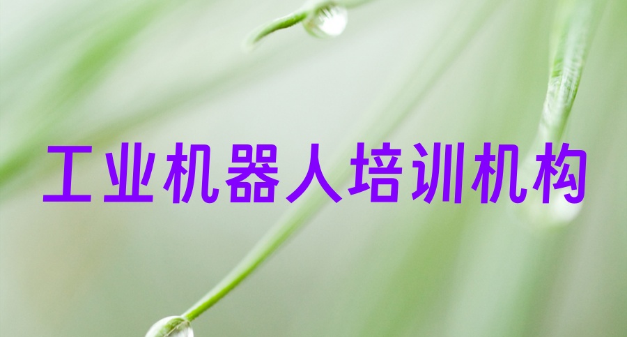 工业机器人培训机构哪家好