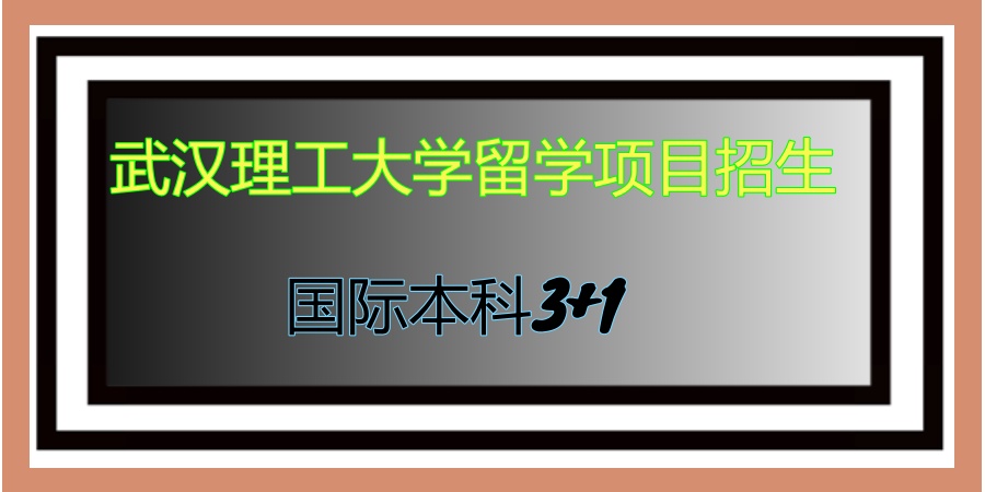 武汉理工大学国际本科3+1项目