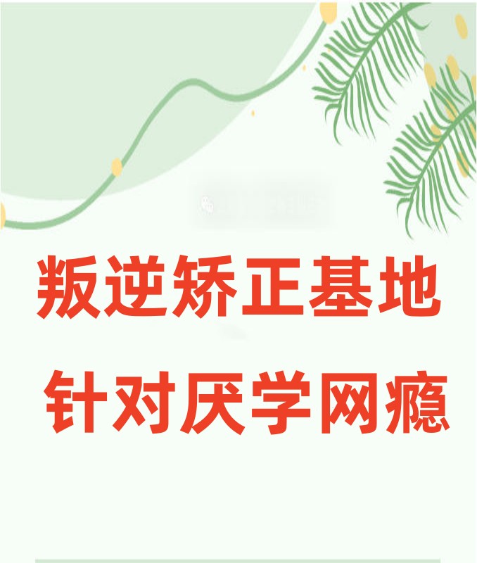 国内全封闭叛逆孩子管教学校哪家口碑好-TOP10榜单更新.jpg