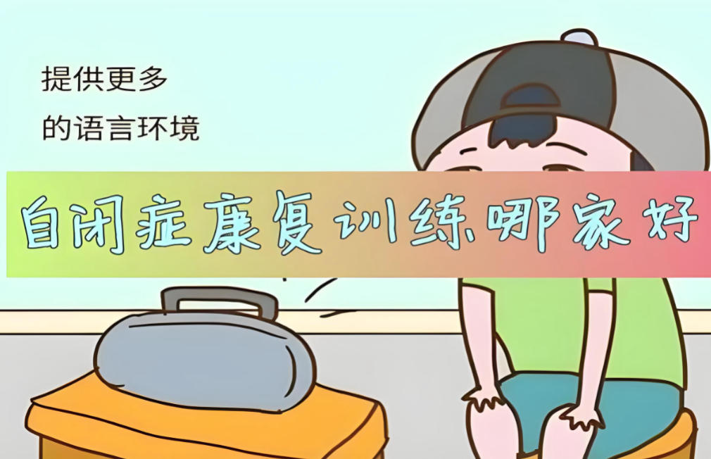 深圳自闭症孤独症康复训练机构哪家好