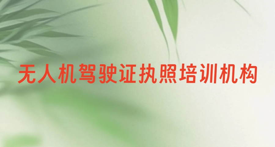 行业一览2025十大无人机驾驶证执照培训机构新名单出炉