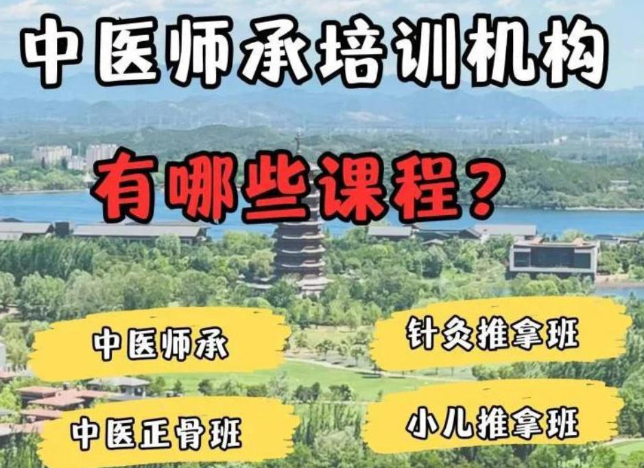 天津中医师承培训机构