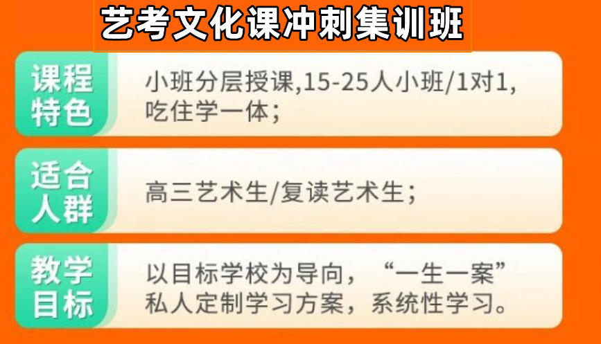 天津艺考文化课冲刺集训班
