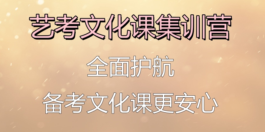 高三艺考文化课辅导班