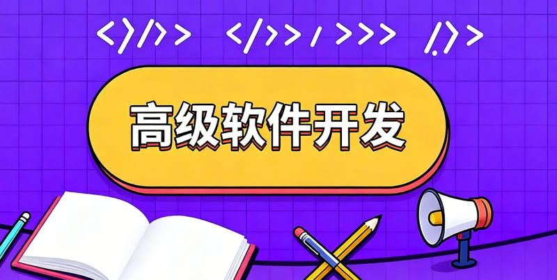 软件开发