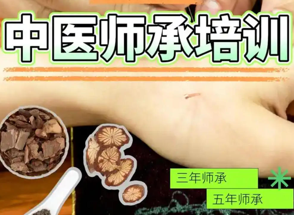 中医师承培训学校