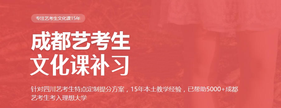 成都艺术生新高考辅导班