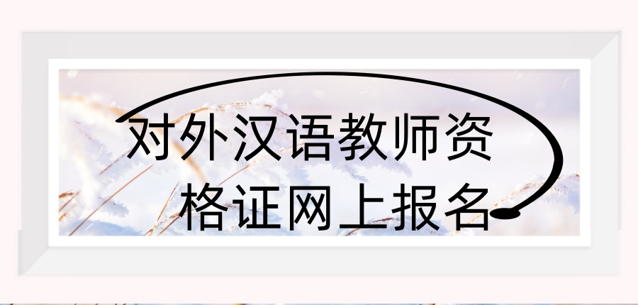对外汉语教师资格证网上报名