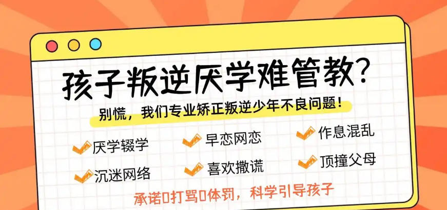 叛逆期正规化特训学校