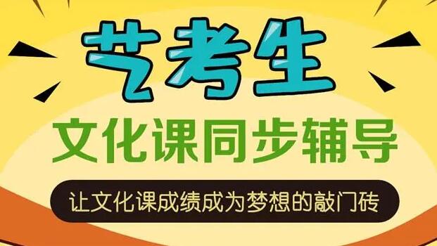 高三艺考文化课辅导机构