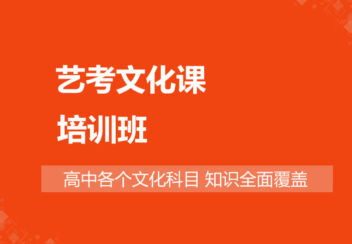 高三艺考文化课辅导机构