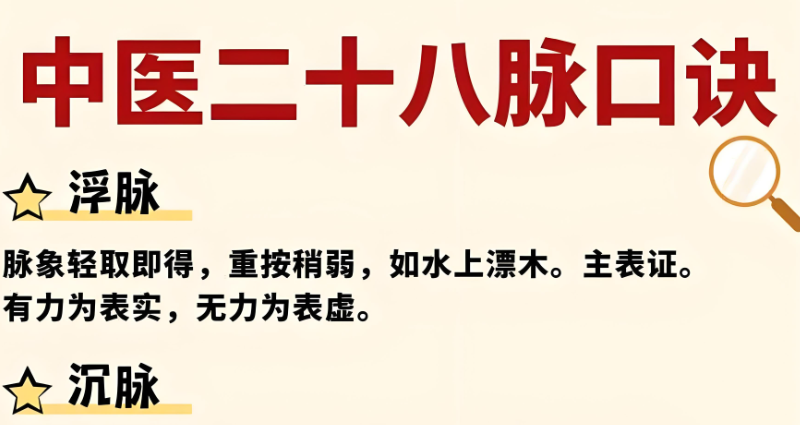 中医培训