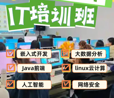IT培训学校，IT技能学习，前端开发学习，数据分析学习