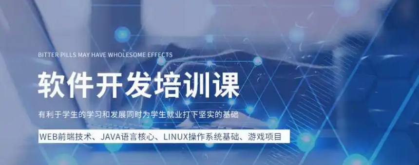 IT培训学校，IT技能学习，前端开发学习，数据分析学习