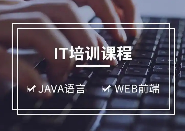 IT培训学校，IT技能学习，前端开发学习，数据分析学习
