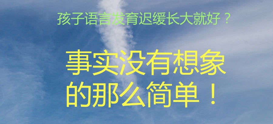 孩子语言发育迟缓长大就好？事实没有想象的那么简单！