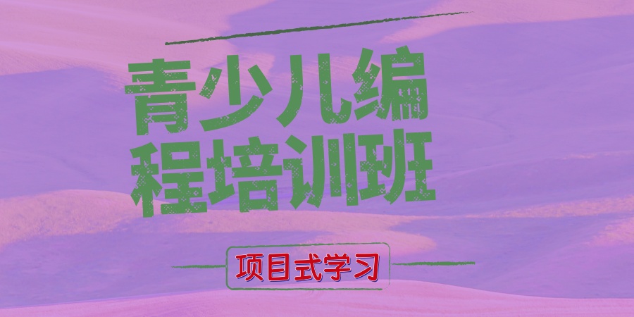 深圳青少儿编程培训班