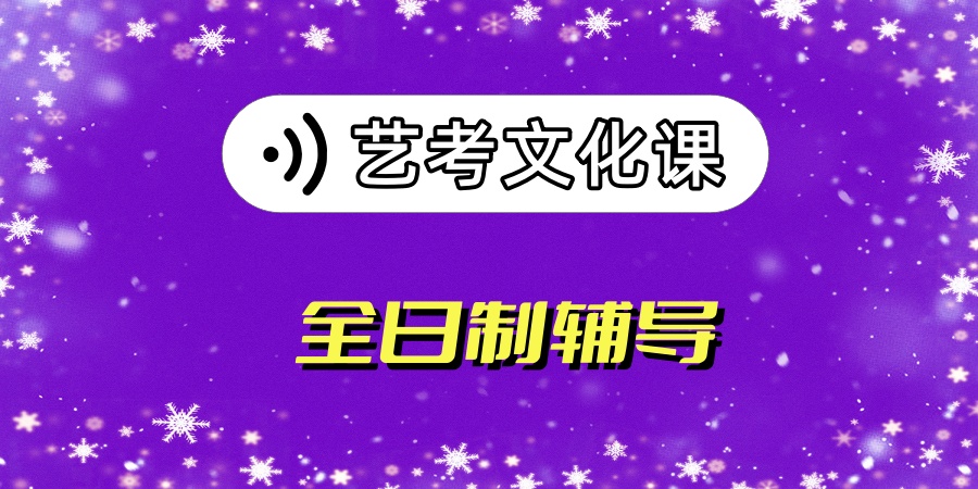 艺考文化课补习班