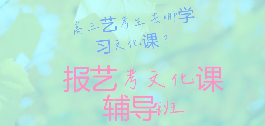上海高三艺考生去哪学习文化课？哪家文化课辅导学校好？