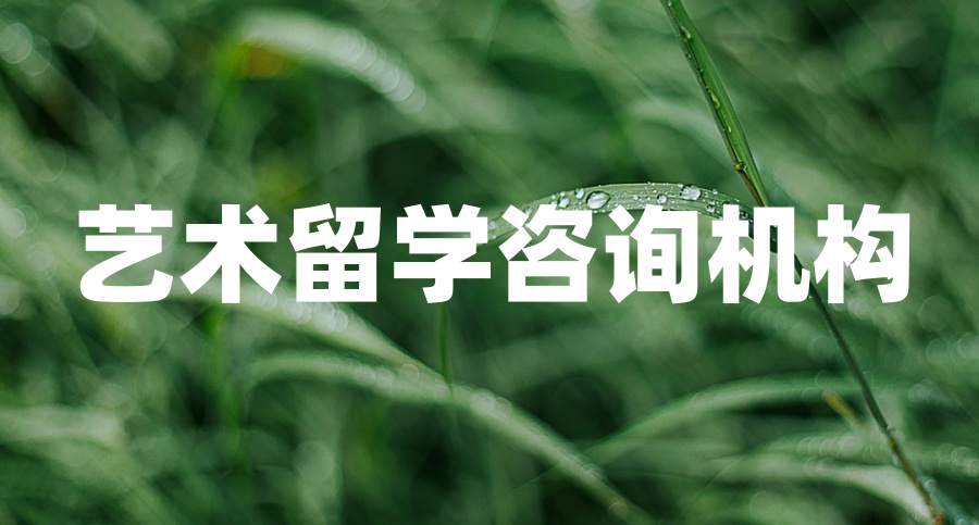 Top一览艺术留学作品集辅导申请中介机构十大名单介绍