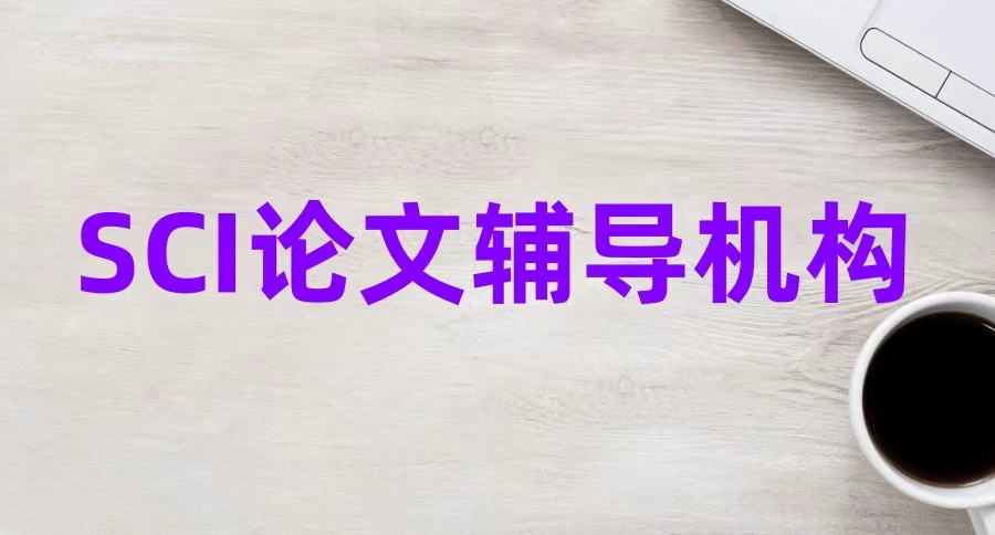 论文辅导中介机构
