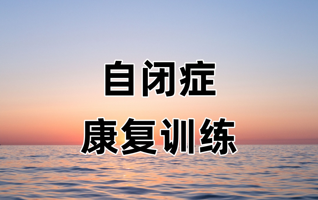 西安自闭症康复训练机构