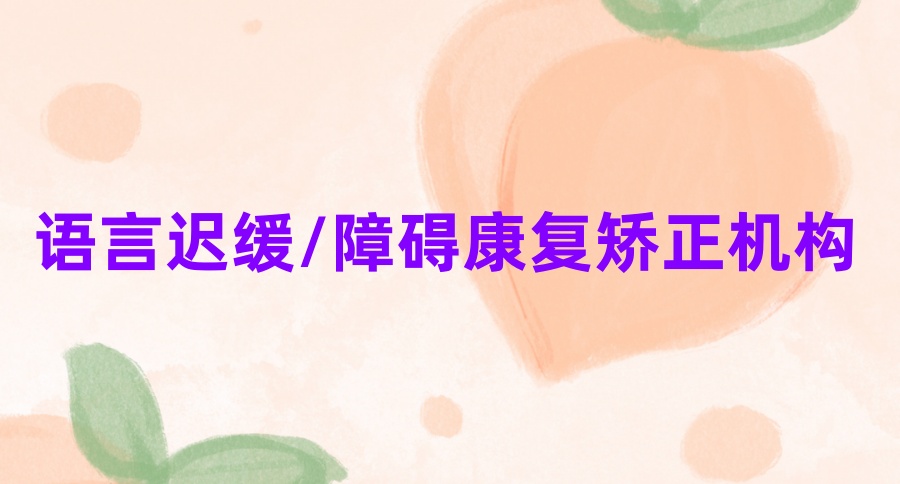 正规可靠的自闭症康复干预机构有哪些