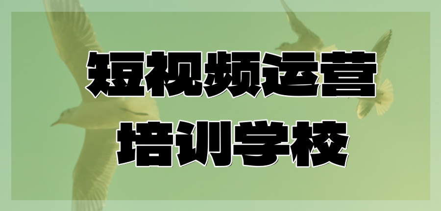 电商直播与短视频运营哪家好