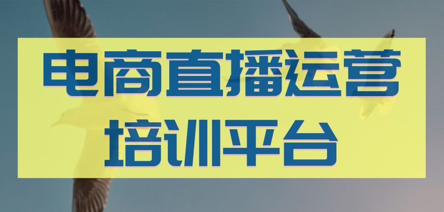 电商直播与短视频运营哪家机构好？