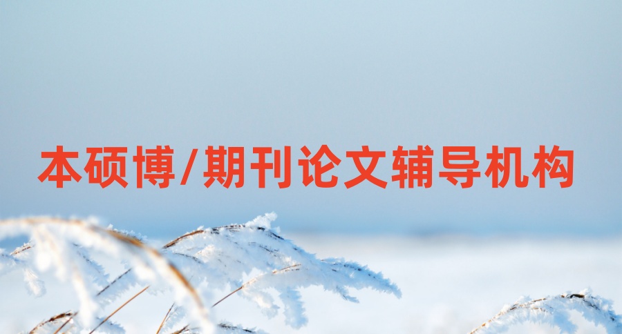 排名TOP10本硕博毕业/期刊论文正规的辅导机构国内前十名